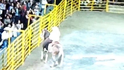 Entrada de Joan Sebastian a caballo en concierto jaripeo