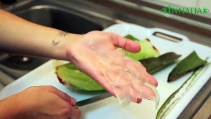 Cómo hacer agua de aloe vera o sábila: Preparación casera de agua de aloe