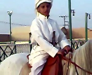 ناصر الفراعنة قصيده الخيل