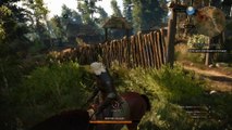 Ведьмак 3 Дикая Охота {PC} прохождение часть 4 — Лихо у Колодца