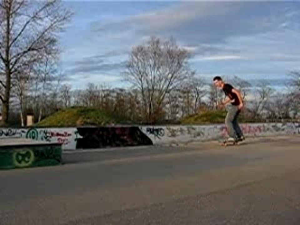 Sk8te ds le 68440