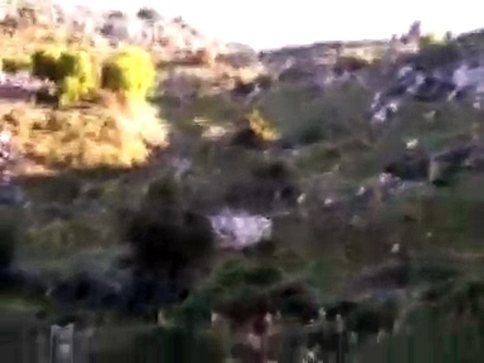 caccia alla coturnice