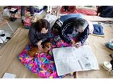 Japan Tsunami Pets, Their Owners and Fellow Rescuers