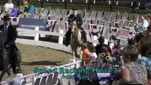 Germantown Charity Horse Show Speed Racking 2013