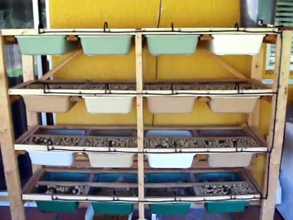 rat rack update