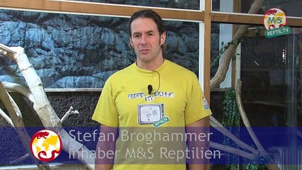 Reptil.TV Folge 14 🐍 Expertenbewertung von Schlangen