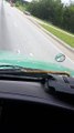 Snake on windshield : scary