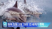 동해 참돌고래 '의리' 전 세계가 주목···눈물겨운 사연 공개