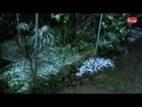 שלג בדלית אל כרמל 2015