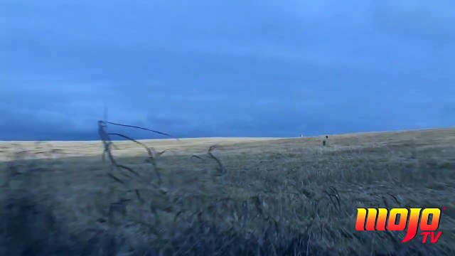 Best Have Your Gun Cocked