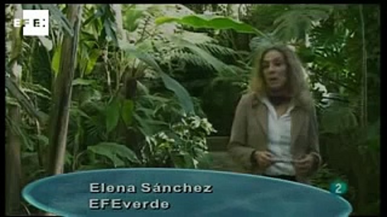 EFEverde en La aventura del saber. Jardines urbanos y jardines en altura