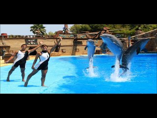 excursión en sharm el sheikh