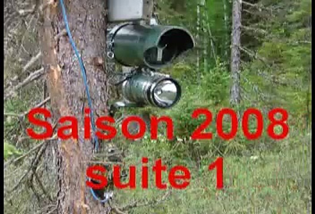 Orignal 2008 suite 1