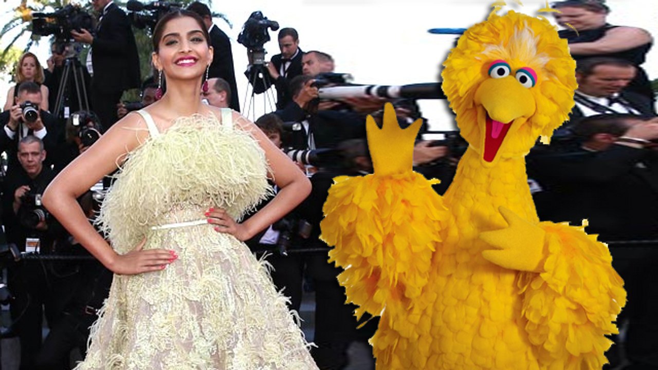 Sonam Kapoor CRITICISED For Her COSTUME | Cannes 2015