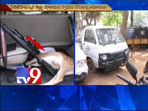 Deer die as hunters attack in Khammam