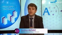 Aurélien Duthoit, Xerfi Canal Les fans de marques sur les réseaux sociaux