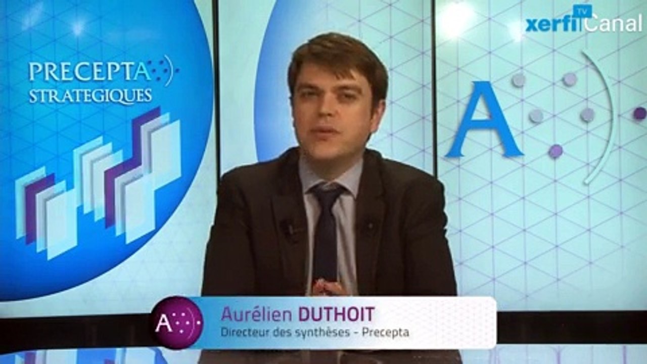 Aurélien Duthoit, Xerfi Canal Les fans de marques sur les réseaux sociaux
