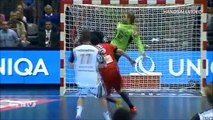 BEST OF Handball Saves 2014