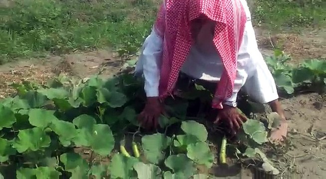 VID-20150518-WA0006.mp4