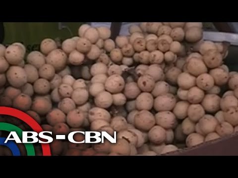 Have you tried Camiguin's lanzones?