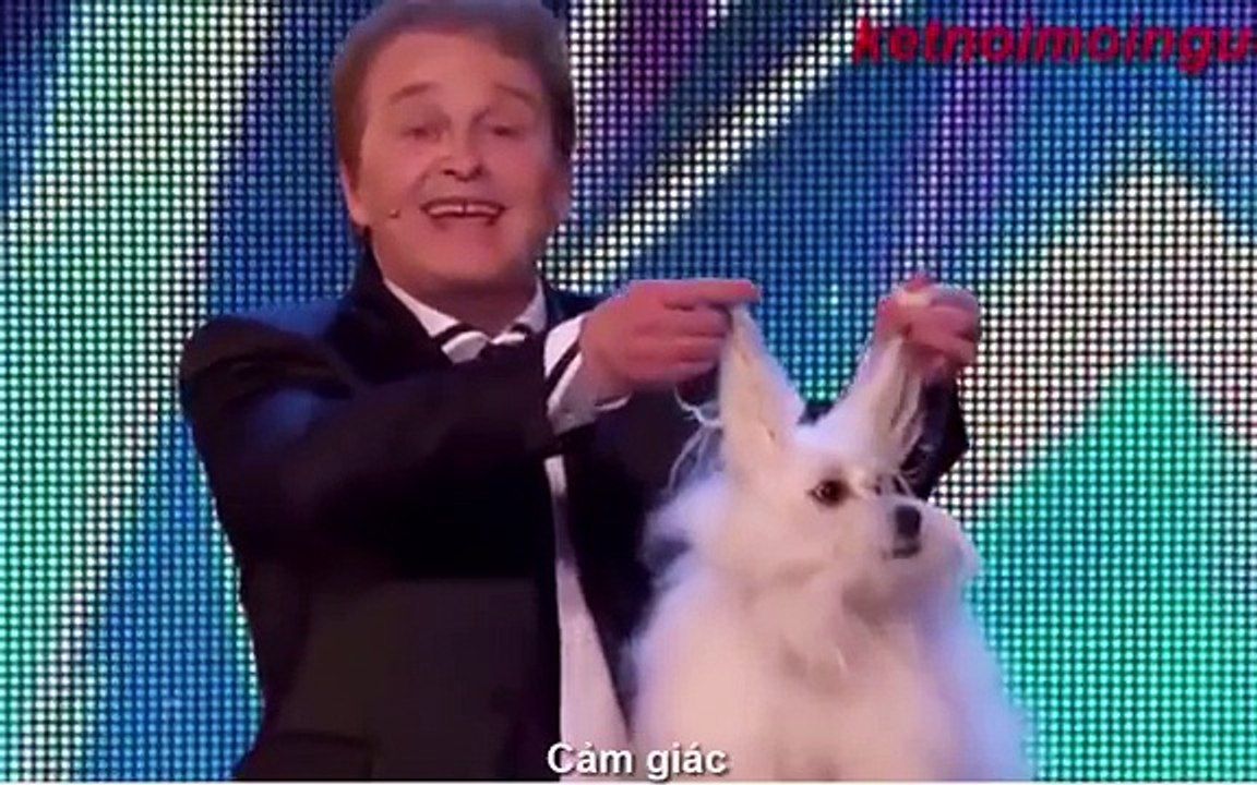 Sự thật về chú chó nói tiếng người tại Britain’s Got Talent