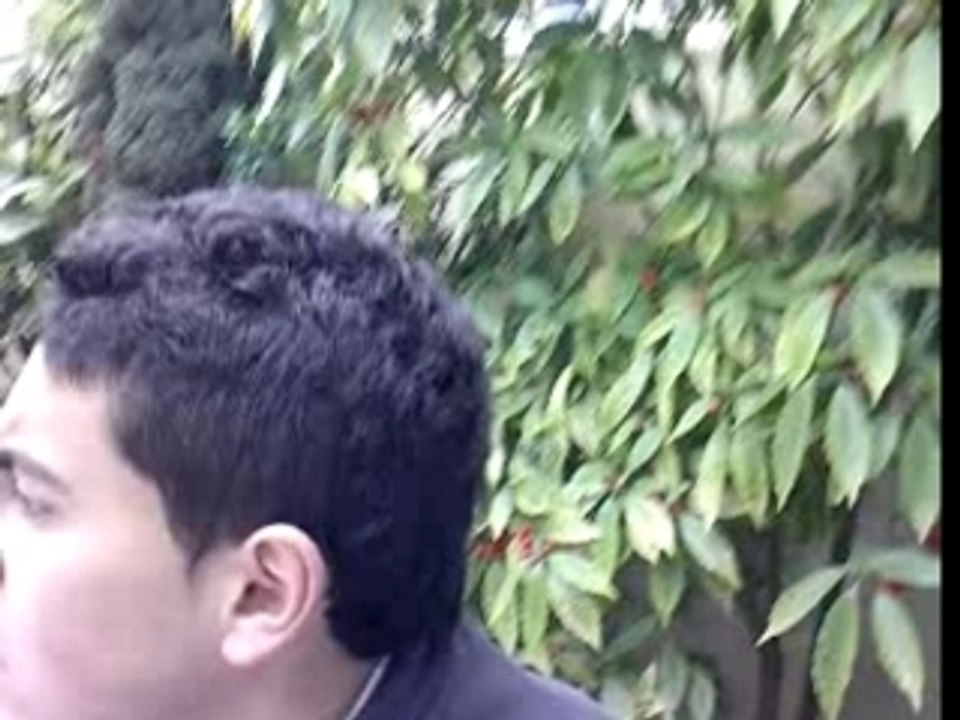 chicha 2