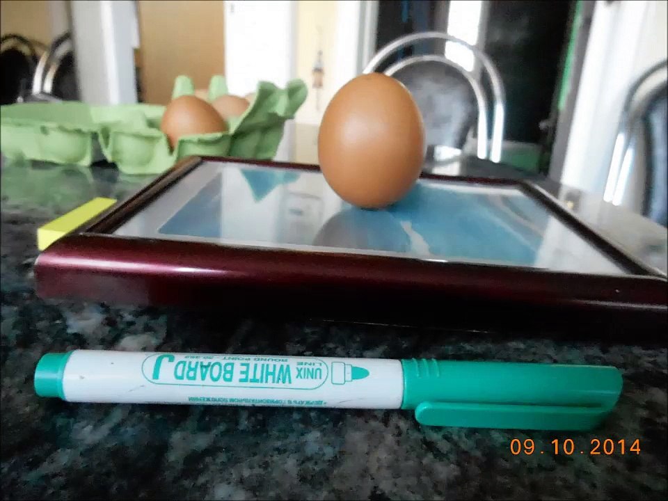 L'oeuf debout- Festenau March le mystère de l'oeuf