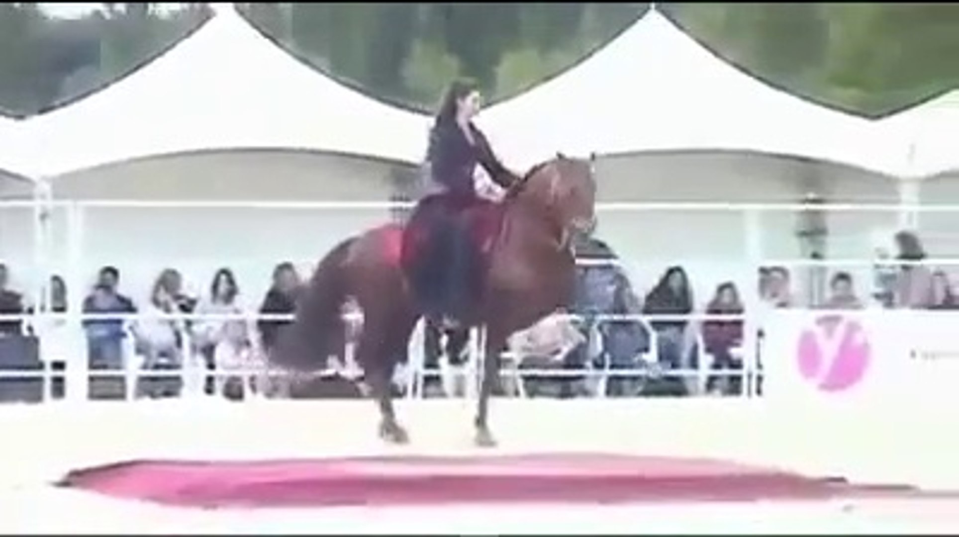A circassian girl with her horse dancing