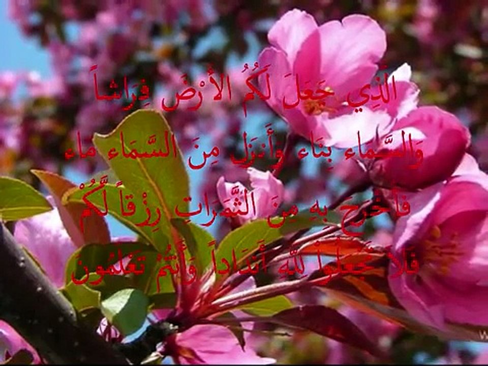 shiekh muammar za - surah ' AL- BAQARAH ' verse 20 - 21