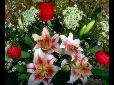 kubilay951 2008 BU ADAM BENİM BABAM