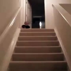 Baby Slip From Stairs Funny Clip Must Watch