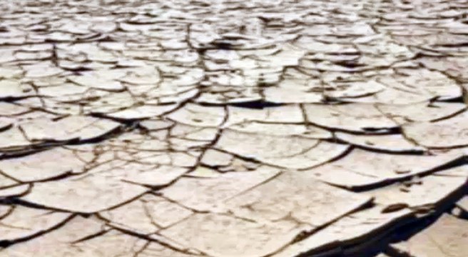 Tanu Weds Manu Returns Screening