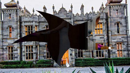 Свадьба Ирэны и Александра_ часть 3