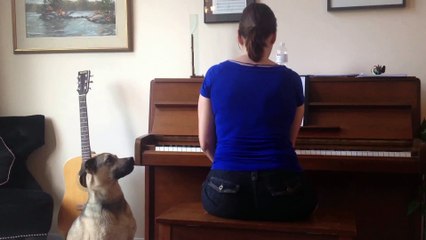 Chien VS Chanteuse d'opéra : duo magique!