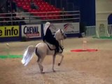 Arabian dancing horses