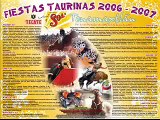 Fiestas Toros Tena