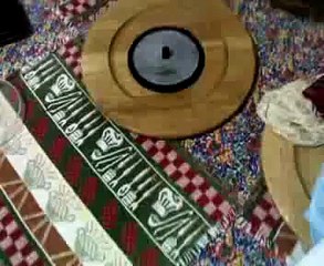 Turtle Vs Praying Mantis