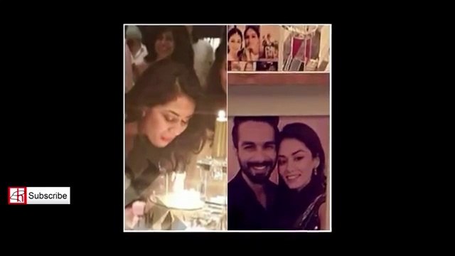 Shahid Kapoor and Mira Rajput Photo Bollywood Movies News 2015
