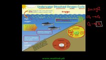 FSc Chemistry Book2, CH 16, LEC 6; Quality of Water