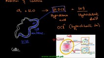 FSc Chemistry Book2, CH 16, LEC 8; Water Disinfection by Chlrorination