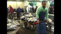 Marché aux poissons de Tsukiji