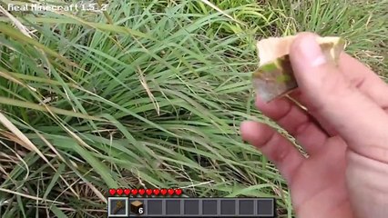 Minecraft Real Life Episode 2 - Gathering Fruit and Finding Water