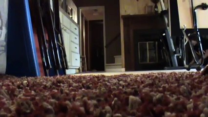 Stink Bomb Prank