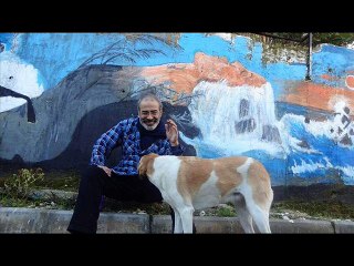 Güle güle sevgilim