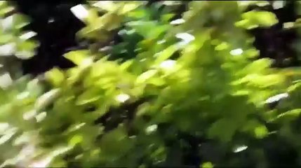 La grande menace : chemtrails - Résultats récents d'analyses françaises