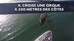 Une orque croque le bout de son paddle à 200 mètres des côtes
