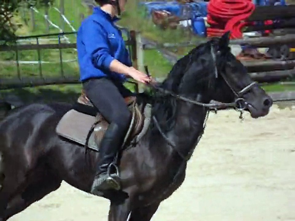 Bakkir Al Orrouy sur parcours 80 cm le 20 5 2015