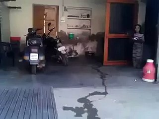 اس بچی نے اپنے چچا کے ساتھ کیا کر دیا۔