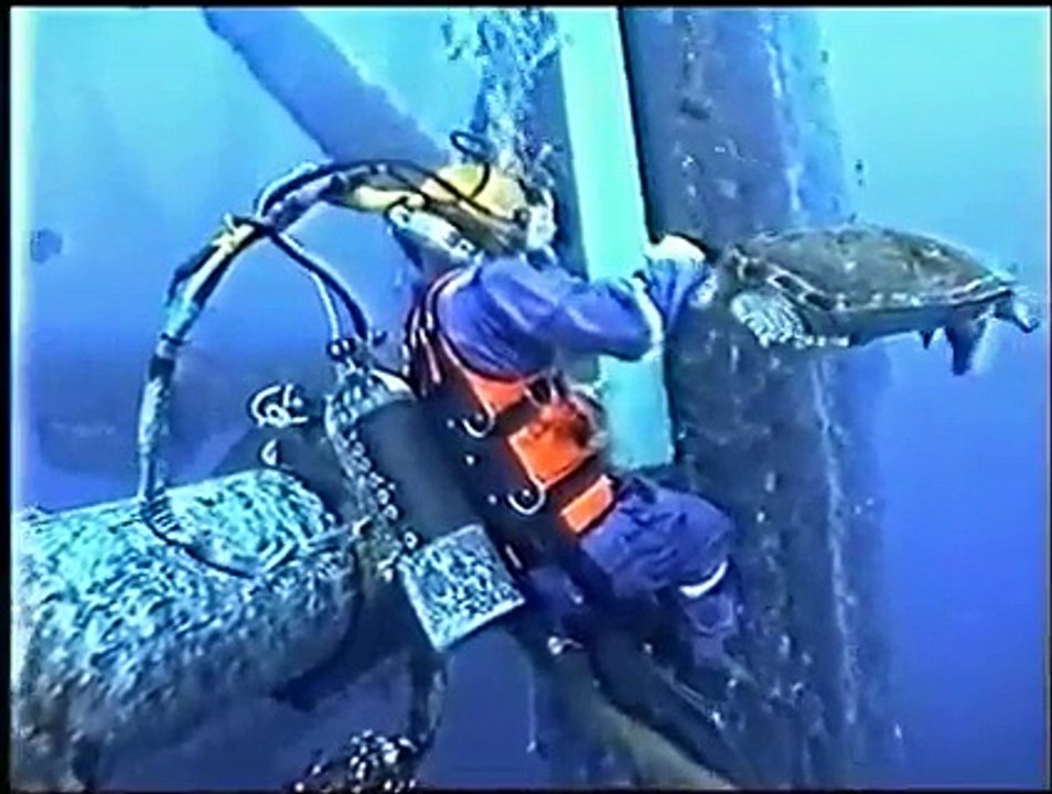 A sea turtle surprises a diver in Gulf of Thailand