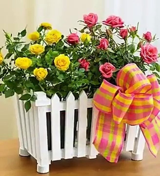 Flowers Online